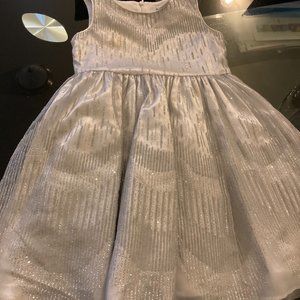 Little Girl's Glitter dress